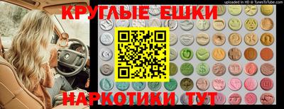 индика Моздок