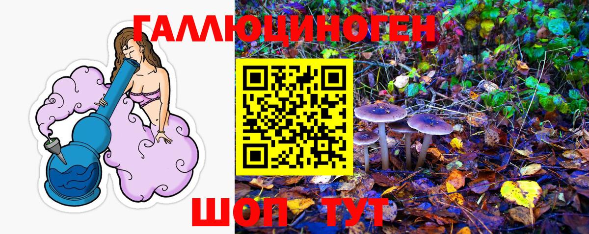 Александров  Псилоцибиновые грибы MAGIC MUSHROOMS  Вход с VPN 